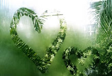 今夜荷甲焦点战，洛杉矶湖人止住颓势，信心回归，球探报告显示潜力 -JBO体育平台